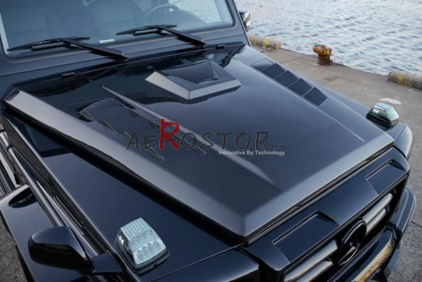 YW463 Gϵ WALD BLACK BISONC(j)w